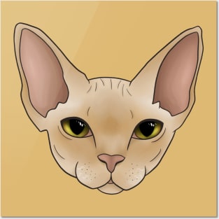 Devon Rex Cream Posters and Art